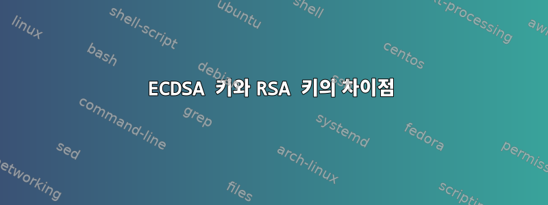 ECDSA 키와 RSA 키의 차이점