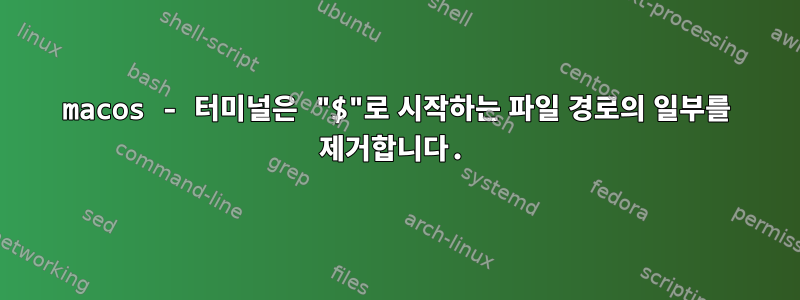 macos - 터미널은 "$"로 시작하는 파일 경로의 일부를 제거합니다.