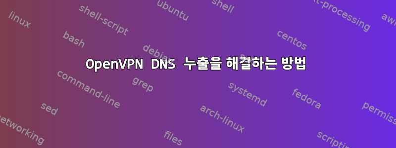 OpenVPN DNS 누출을 해결하는 방법