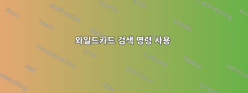 와일드카드 검색 명령 사용