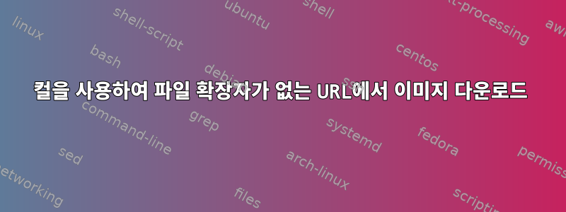 컬을 사용하여 파일 확장자가 없는 URL에서 이미지 다운로드