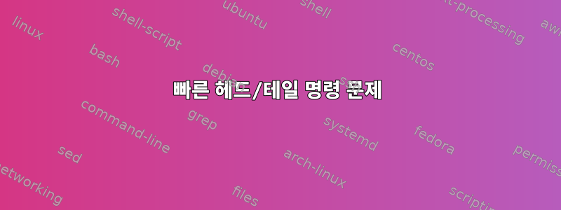 빠른 헤드/테일 명령 문제