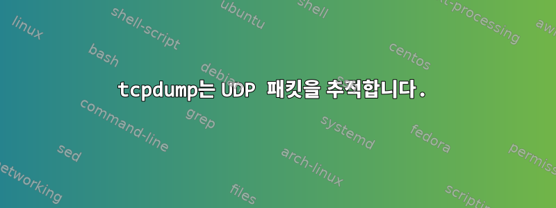 tcpdump는 UDP 패킷을 추적합니다.