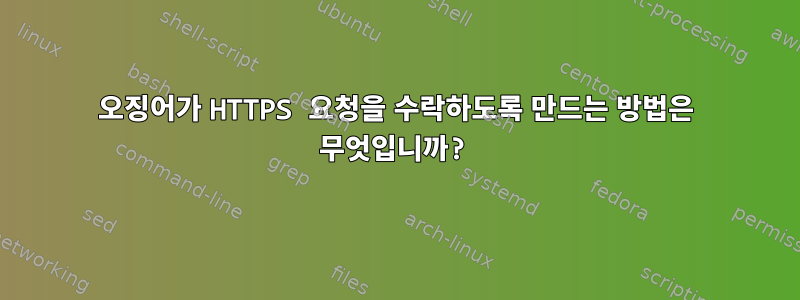 오징어가 HTTPS 요청을 수락하도록 만드는 방법은 무엇입니까?