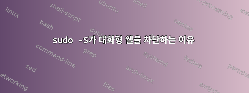 sudo -S가 대화형 쉘을 차단하는 이유