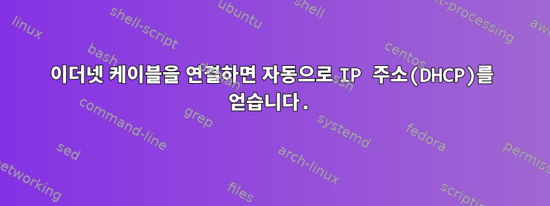 이더넷 케이블을 연결하면 자동으로 IP 주소(DHCP)를 얻습니다.