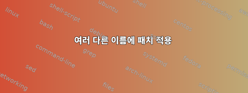 여러 다른 이름에 패치 적용