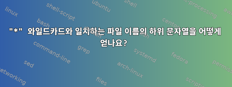 "*" 와일드카드와 일치하는 파일 이름의 하위 문자열을 어떻게 얻나요?