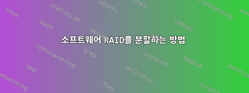 소프트웨어 RAID를 분할하는 방법