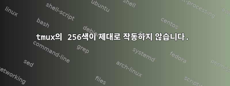 tmux의 256색이 제대로 작동하지 않습니다.