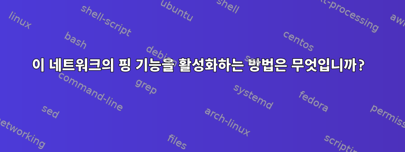 이 네트워크의 핑 기능을 활성화하는 방법은 무엇입니까?