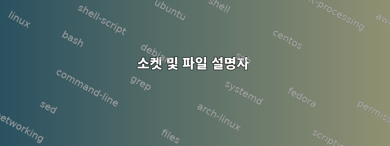 소켓 및 파일 설명자