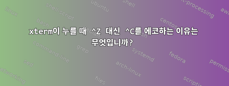 xterm이 누를 때 ^Z 대신 ^C를 에코하는 이유는 무엇입니까?