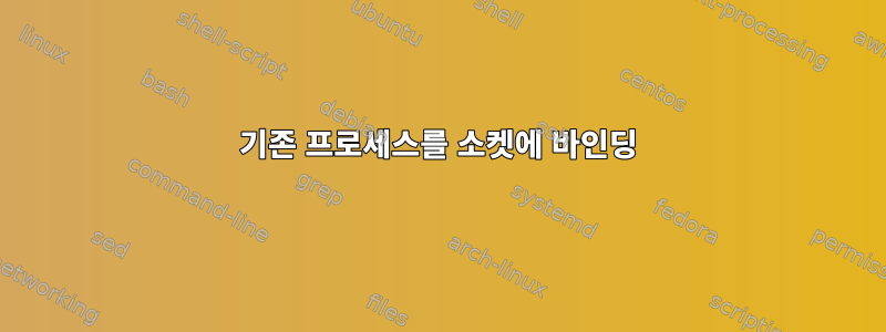 기존 프로세스를 소켓에 바인딩