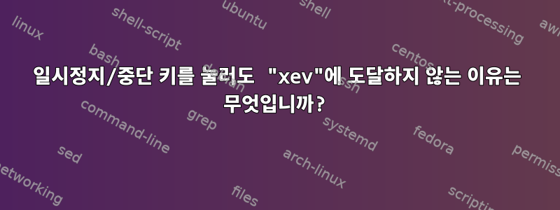 일시정지/중단 키를 눌러도 "xev"에 도달하지 않는 이유는 무엇입니까?