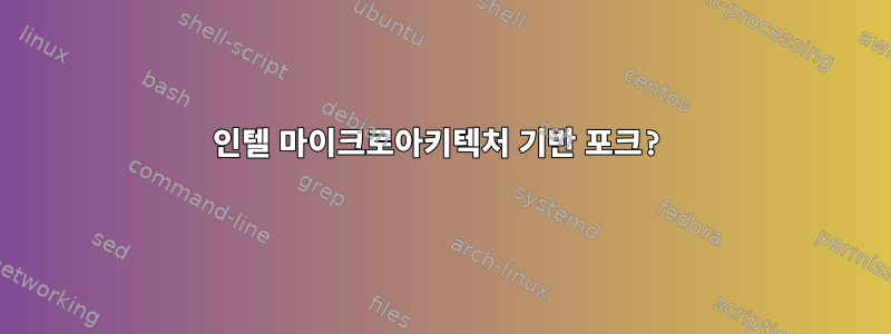 인텔 마이크로아키텍처 기반 포크?