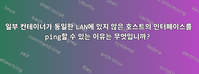 일부 컨테이너가 동일한 LAN에 있지 않은 호스트의 인터페이스를 ping할 수 있는 이유는 무엇입니까?