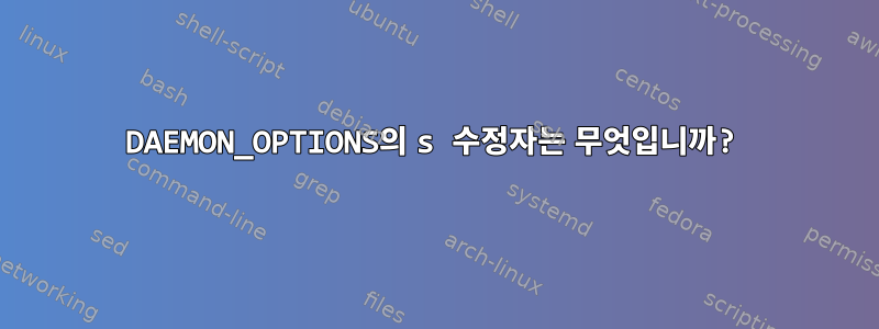 DAEMON_OPTIONS의 s 수정자는 무엇입니까?