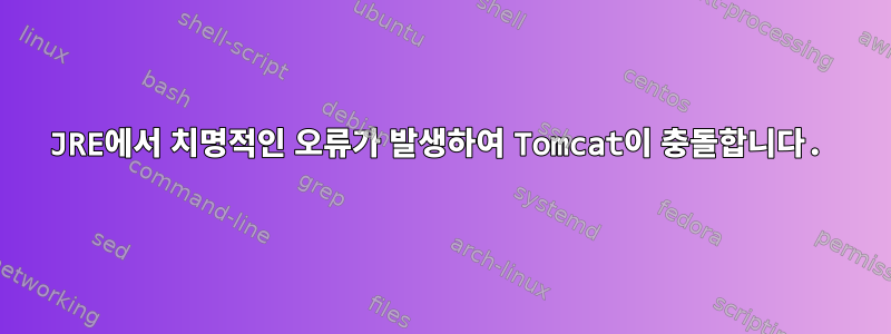 JRE에서 치명적인 오류가 발생하여 Tomcat이 충돌합니다.