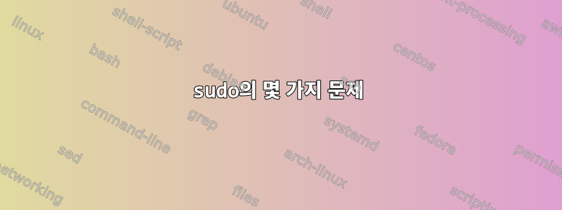 sudo의 몇 가지 문제