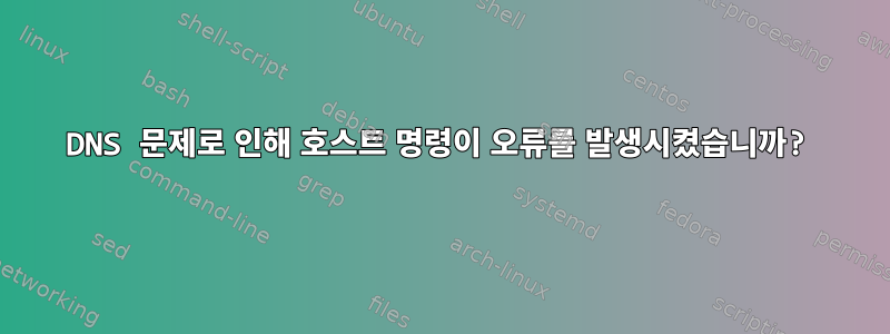 DNS 문제로 인해 호스트 명령이 오류를 발생시켰습니까?