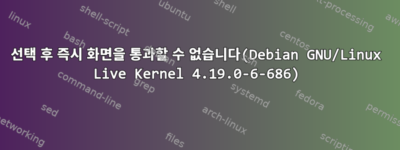 선택 후 즉시 화면을 통과할 수 없습니다(Debian GNU/Linux Live Kernel 4.19.0-6-686)