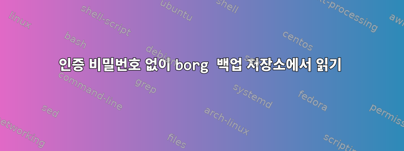 인증 비밀번호 없이 borg 백업 저장소에서 읽기