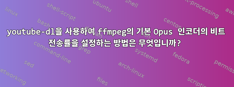 youtube-dl을 사용하여 ffmpeg의 기본 Opus 인코더의 비트 전송률을 설정하는 방법은 무엇입니까?