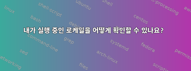 내가 실행 중인 로케일을 어떻게 확인할 수 있나요?