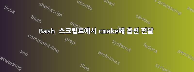 Bash 스크립트에서 cmake에 옵션 전달