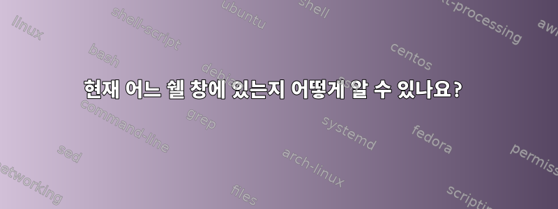 현재 어느 쉘 창에 있는지 어떻게 알 수 있나요?