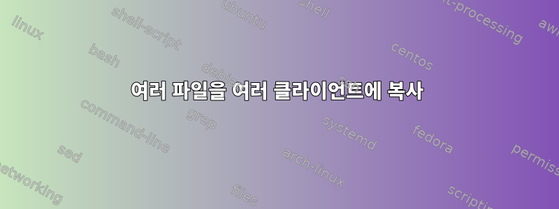 여러 파일을 여러 클라이언트에 복사