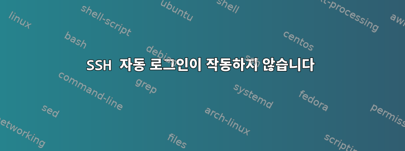 SSH 자동 로그인이 작동하지 않습니다