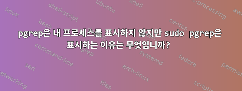 pgrep은 내 프로세스를 표시하지 않지만 sudo pgrep은 표시하는 이유는 무엇입니까?