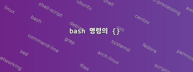 bash 명령의 {}