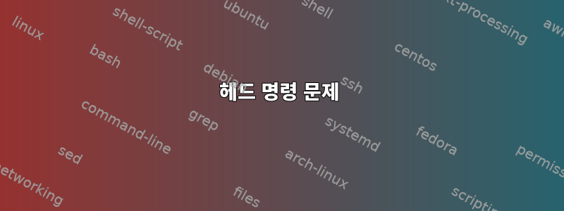 헤드 명령 문제