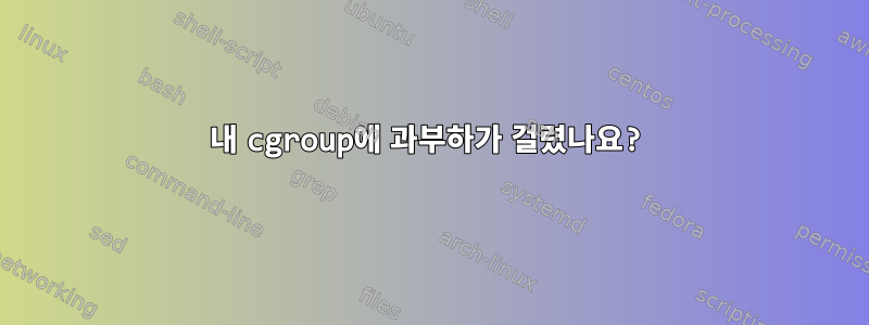 내 cgroup에 과부하가 걸렸나요?