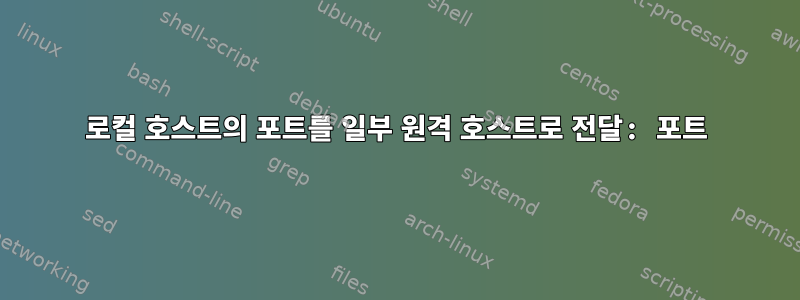 로컬 호스트의 포트를 일부 원격 호스트로 전달: 포트