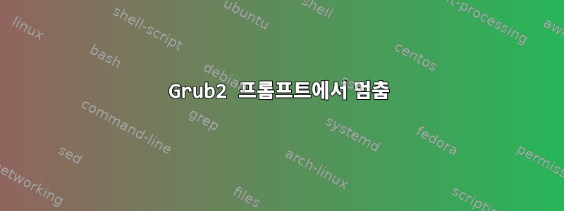 Grub2 프롬프트에서 멈춤