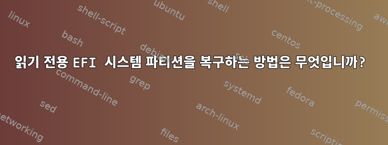 읽기 전용 EFI 시스템 파티션을 복구하는 방법은 무엇입니까?