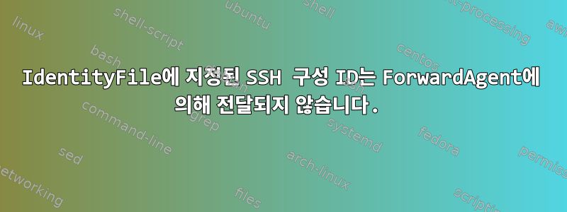 IdentityFile에 지정된 SSH 구성 ID는 ForwardAgent에 의해 전달되지 않습니다.