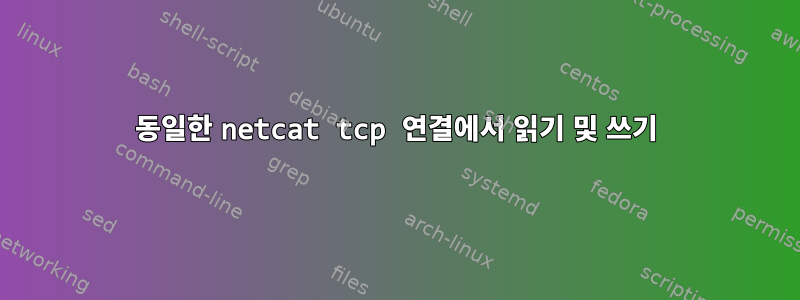 동일한 netcat tcp 연결에서 읽기 및 쓰기