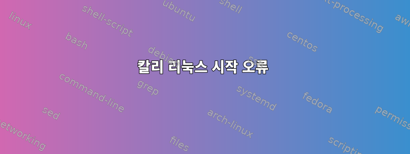 칼리 리눅스 시작 오류