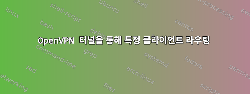 OpenVPN 터널을 통해 특정 클라이언트 라우팅