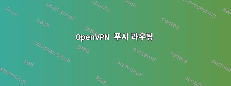 OpenVPN 푸시 라우팅