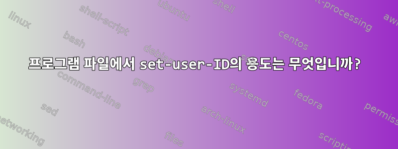 프로그램 파일에서 set-user-ID의 용도는 무엇입니까?