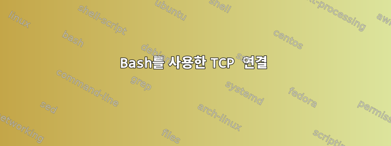 Bash를 사용한 TCP 연결