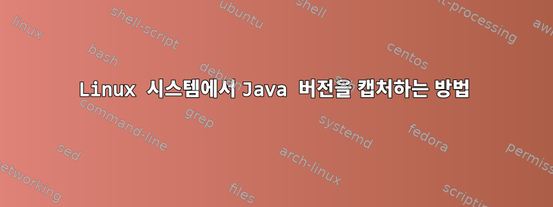 Linux 시스템에서 Java 버전을 캡처하는 방법