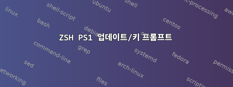 ZSH PS1 업데이트/키 프롬프트