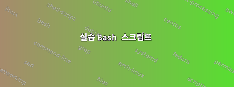 실습 Bash 스크립트